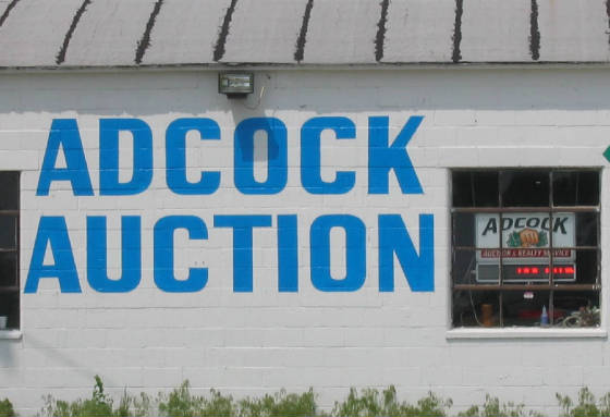 adcock.jpg